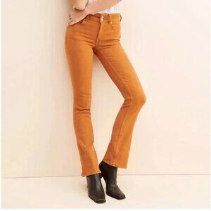 Free People/ We The Free Burnt Orange Shayla Bootcut Jeans